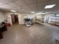 Свободное назначение · 456 м² за 160 млн ₸ в Усть-Каменогорске — фото 62