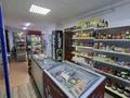 Магазины и бутики · 50 м² за 170 000 ₸ в Астане, р-н Байконур — фото 3