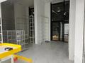 Еркін · 220 м², бағасы: 2.1 млн ₸ в Астане, Нура р-н — фото 18