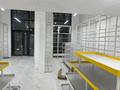 Еркін · 220 м², бағасы: 2.1 млн ₸ в Астане, Нура р-н — фото 42