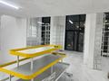 Еркін · 220 м², бағасы: 2.1 млн ₸ в Астане, Нура р-н — фото 40