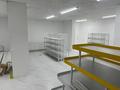 Еркін · 220 м², бағасы: 2.1 млн ₸ в Астане, Нура р-н — фото 7