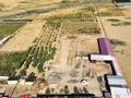 Участок · 5.5 га, жилой массив Кайнар Булак, Дача Кайнарбулак 1 за 180 млн ₸ в Шымкенте, Абайский р-н