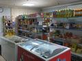 Магазины и бутики • 140 м² за 15 млн 〒 в Сарыколе