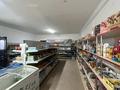 Магазины и бутики • 111 м² за 12.5 млн 〒 в Кызылтобе — фото 5