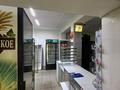 Дүкендер мен бутиктер · 90 м², бағасы: 400 000 ₸ в Астане, Сарыарка р-н — фото 7