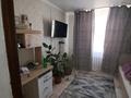 Отдельный дом · 4 комнаты · 90 м² · 10 сот., Болашак 17 — Кафе Миля за 12 млн ₸ в Большом Чагане — фото 6