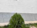 Отдельный дом · 4 комнаты · 190 м² · 6 сот., Коксай — За СДУ за 69 млн ₸ в Каскелене — фото 25