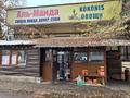 Магазины и бутики · 340 м² за 170 млн ₸ в Алматы, Наурызбайский р-н — фото 14
