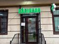 Магазины и бутики · 340 м² за 170 млн ₸ в Алматы, Наурызбайский р-н — фото 4