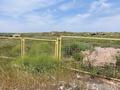 Участок · 3 га, Айтекеби за 150 млн ₸ в Карабулаке — фото 4