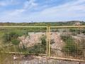 Участок · 3 га, Айтекеби за 150 млн ₸ в Карабулаке — фото 7