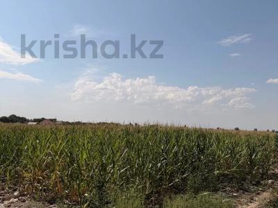 Участок · 200 соток, Алатауская трасса за 120 млн ₸ в Бельбулаке (Мичурино)