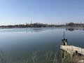 Участок · 24.9 га, Чапаево за 320 млн ₸ — фото 3