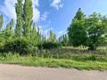 Участок · 16 соток, Жолан 97 за 6.5 млн ₸ в Коксаеке — фото 5