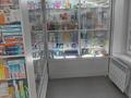 Медцентры и аптеки · 62 м² за 42.5 млн 〒 в Усть-Каменогорске — фото 8