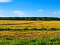 Жер телімі · 48 сотық, Кенес, бағасы: 18 млн ₸ в Акколе — фото 4