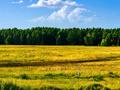Жер телімі · 48 сотық, Кенес, бағасы: 18 млн ₸ в Акколе — фото 5