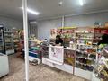Магазины и бутики · 150 м² за 26 млн 〒 в Шимыре — фото 6
