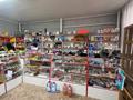 Магазины и бутики · 150 м² за 26 млн 〒 в Шимыре — фото 7