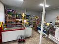 Магазины и бутики · 150 м² за 26 млн 〒 в Шимыре — фото 8