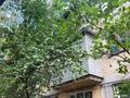 3-комнатная квартира · 57.4 м² · 1/3 этаж, Розыбакиева 186 за ~ 22.6 млн ₸ в Алматы, Бостандыкский р-н — фото 15