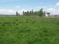 Сельское хозяйство · 7000 м² за 13 000 ₸ в Жаналык (Талгарский район) — фото 2