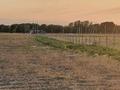 Участок · 3 га, Каргалы (п. Фабричный) за 50 млн ₸ — фото 3