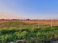 Участок · 3 га, Каргалы (п. Фабричный) за 50 млн ₸ — фото 5