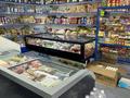 Дом+ Продуктовый Магазин. Прибыльный бизнес Рядом с Алматы · 210 м² за 130 млн 〒 в Енбекши (Карасайский район) — фото 6