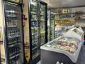 Дом+ Продуктовый Магазин. Прибыльный бизнес Рядом с Алматы · 210 м² за 130 млн 〒 в Енбекши (Карасайский район) — фото 9