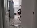 3-бөлмелі пәтер · 80 м² · 5/5 қабат, мкр Карасу 39 — Мкр Карасу, бағасы: 200 000 ₸ в Шымкенте, Аль-Фарабийский р-н — фото 21