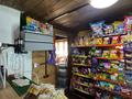 Магазины и бутики · 60.2 м² за 37 млн ₸ в Новой бухтарме — фото 16
