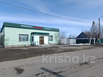 Дүкендер мен бутиктер, қоймалар · 149.5 м², бағасы: 60 млн ₸ в Астане