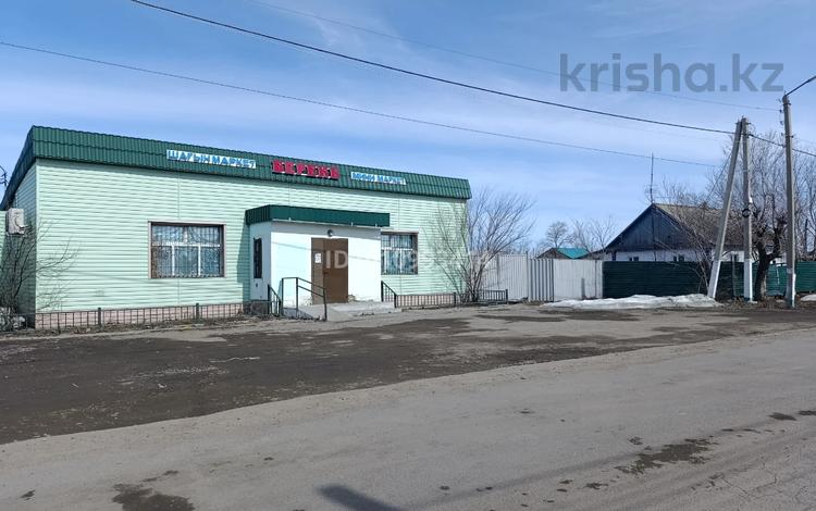 Дүкендер мен бутиктер, қоймалар · 149.5 м², бағасы: 60 млн ₸ в Астане — фото 2