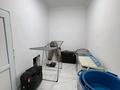 Жеке үй · 5 бөлме · 200 м² · 16 жүзд., Асил арық.Сейфуллина 10А — Асил арык, бағасы: 43.5 млн ₸ в Шымкенте — фото 8