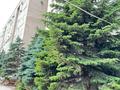 5-бөлмелі пәтер · 204 м² · 2/9 қабат, Абилкайыр хана, бағасы: 400 000 ₸ в Актобе — фото 22