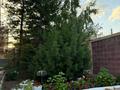 Жеке үй · 6 бөлме · 300 м² · 10 жүзд., Еркөкше, бағасы: 205 млн ₸ в Астане, Алматы р-н — фото 15