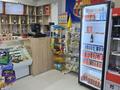 Магазин розливных напитков · 48 м², бағасы: 10 млн ₸ в Алматы, Ауэзовский р-н — фото 11