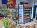 Магазин розливных напитков · 48 м², бағасы: 10 млн ₸ в Алматы, Ауэзовский р-н — фото 15