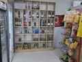 Магазин розливных напитков · 48 м², бағасы: 10 млн ₸ в Алматы, Ауэзовский р-н — фото 7