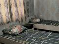 Дом · 3 комнаты · 100 м², С.Токбергенова 114 — Ж.Баласпгун 114 за 20 000 ₸ в Таразе — фото 5