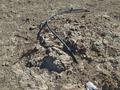 Участок · 10 соток, Водозабор за 3 млн ₸ в Шубарсу