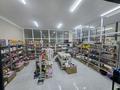Магазины и бутики · 2995.8 м² за ~ 1.1 млрд ₸ в Акмоле — фото 10