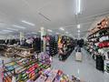 Магазины и бутики · 2995.8 м² за ~ 1.1 млрд ₸ в Акмоле — фото 17