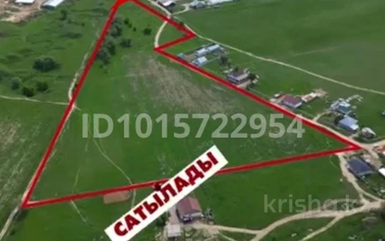 Жер телімі · 5 га, Тұрар, бағасы: 24 млн ₸ в  — фото 2