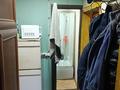 Часть дома · 2 комнаты · 40.5 м² · 2.6 сот., мкр Кемел (Первомайское) — Куусинена, сиреневая за 21 млн ₸ в Алматы, Жетысуский р-н — фото 7