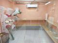 Свободное назначение · 50.5 м² за 21 млн ₸ в Астане, Сарыарка р-н — фото 10