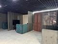 Развлечения · 290 м² за 80 млн ₸ в Астане, Есильский р-н — фото 9