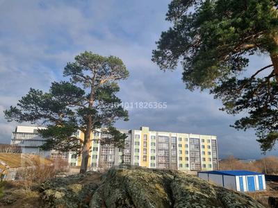 2-бөлмелі пәтер · 45 м² · 2/5 қабат, Киснеревых 93, бағасы: 28 000 ₸ в Бурабае